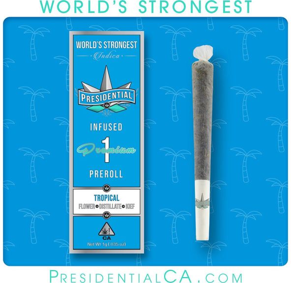 [Presidential] Infused Preroll - 1g - Tropical (I)