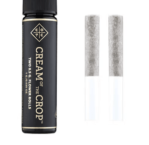 COTC SECRETS INFUSED PREROLL- 1G BLUE HAZE X JACK HERER 2CT