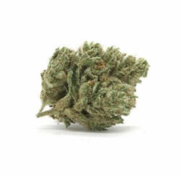 Flying Tiger Farm: Animal Mints(taxes included)