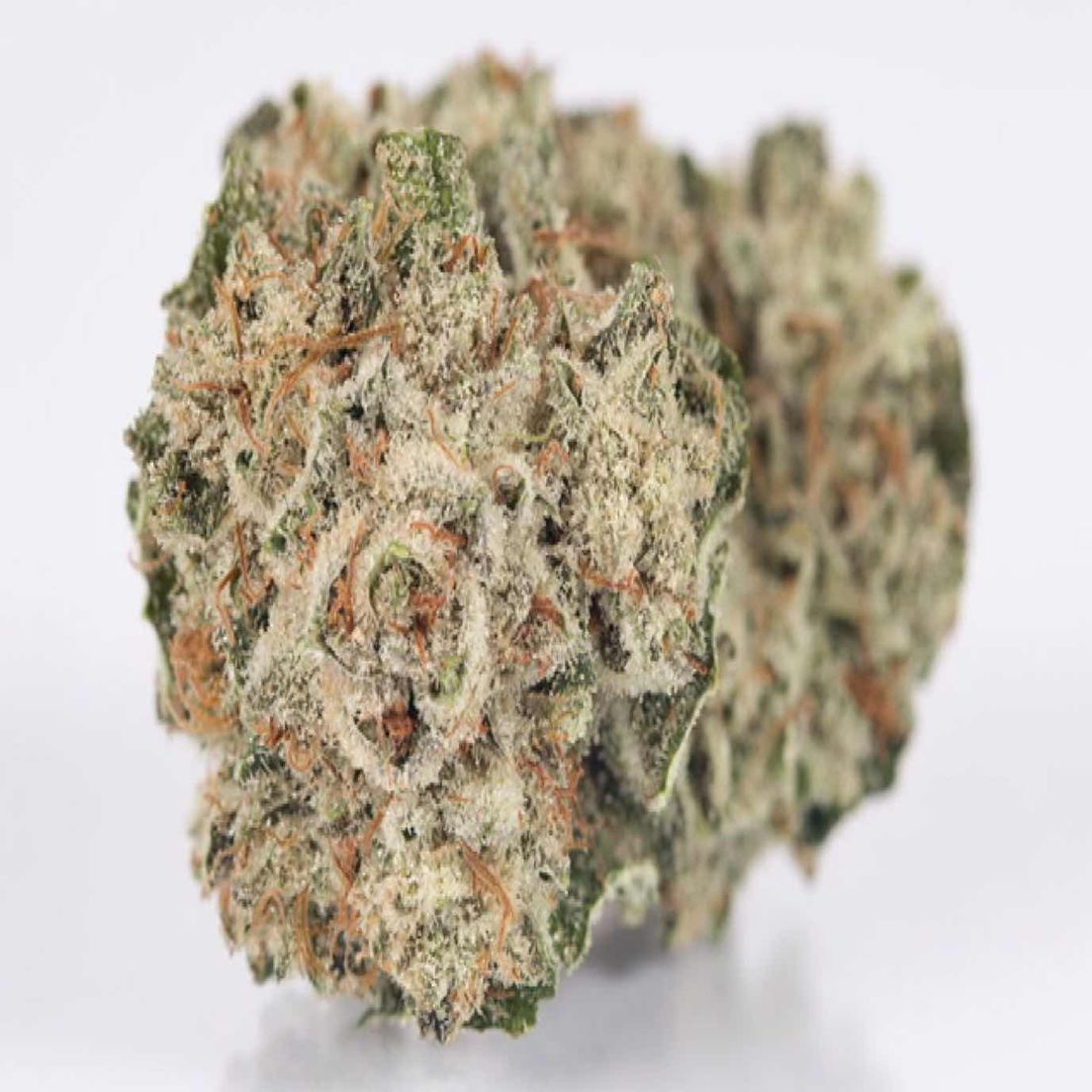 Gorilla Glue #4