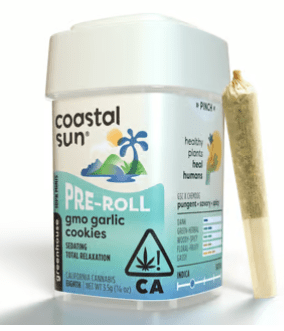 Coastal Sun - GMO Garlic Cookies - 10 Pack Prerolls - 3.5 Grams