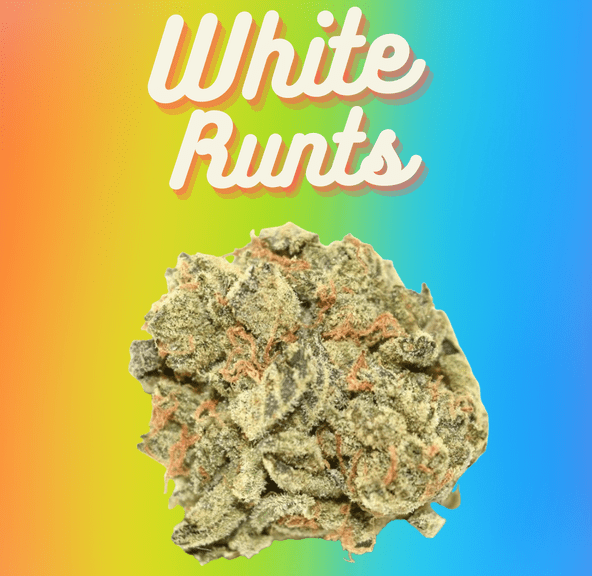 DAZE - White Runtz (28g)