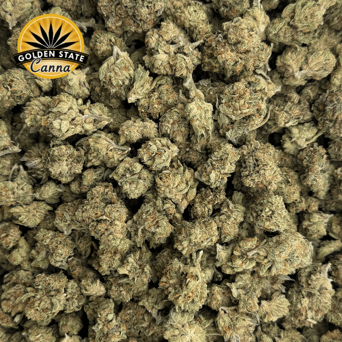 - Golden State Canna - Champagne Float Mediums | 7g | THC 27%