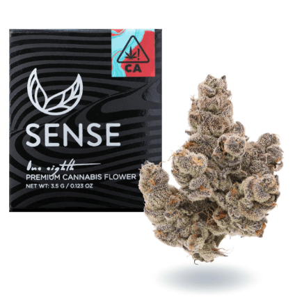 SENSE- 3.5 PIESCREAM