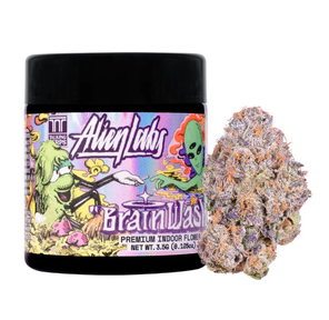 BrainWash Indoor 3.50 g