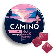 Camino Wild Berry $16