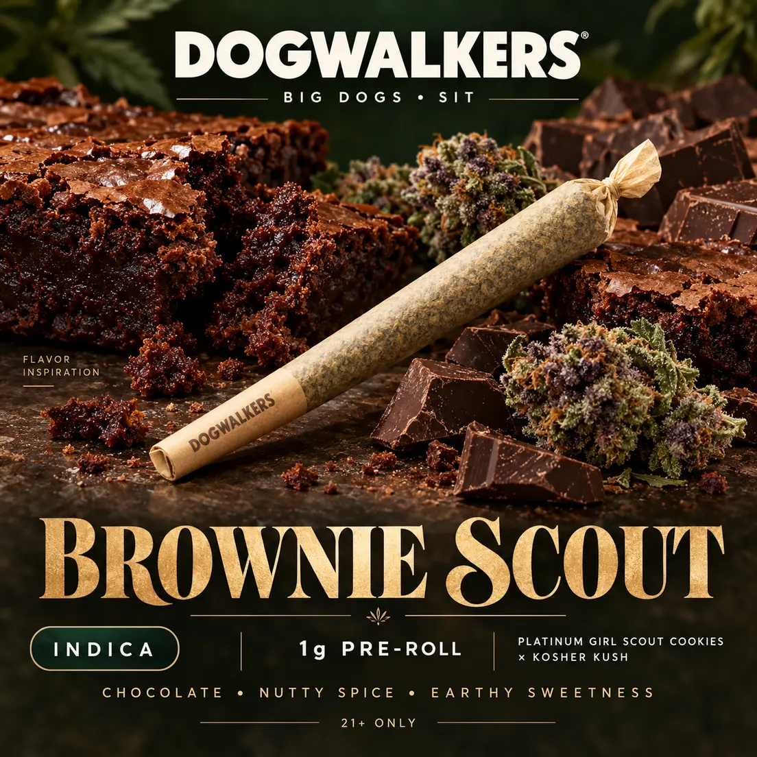 Brownie Scout Big Dogs 1g - Dogwalkers (Sit)