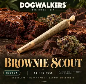 Brownie Scout Big Dogs 1g - Dogwalkers (Sit)