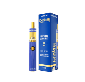 Dime AIO Disposable 2g - Blueberry Lemon Haze (S)