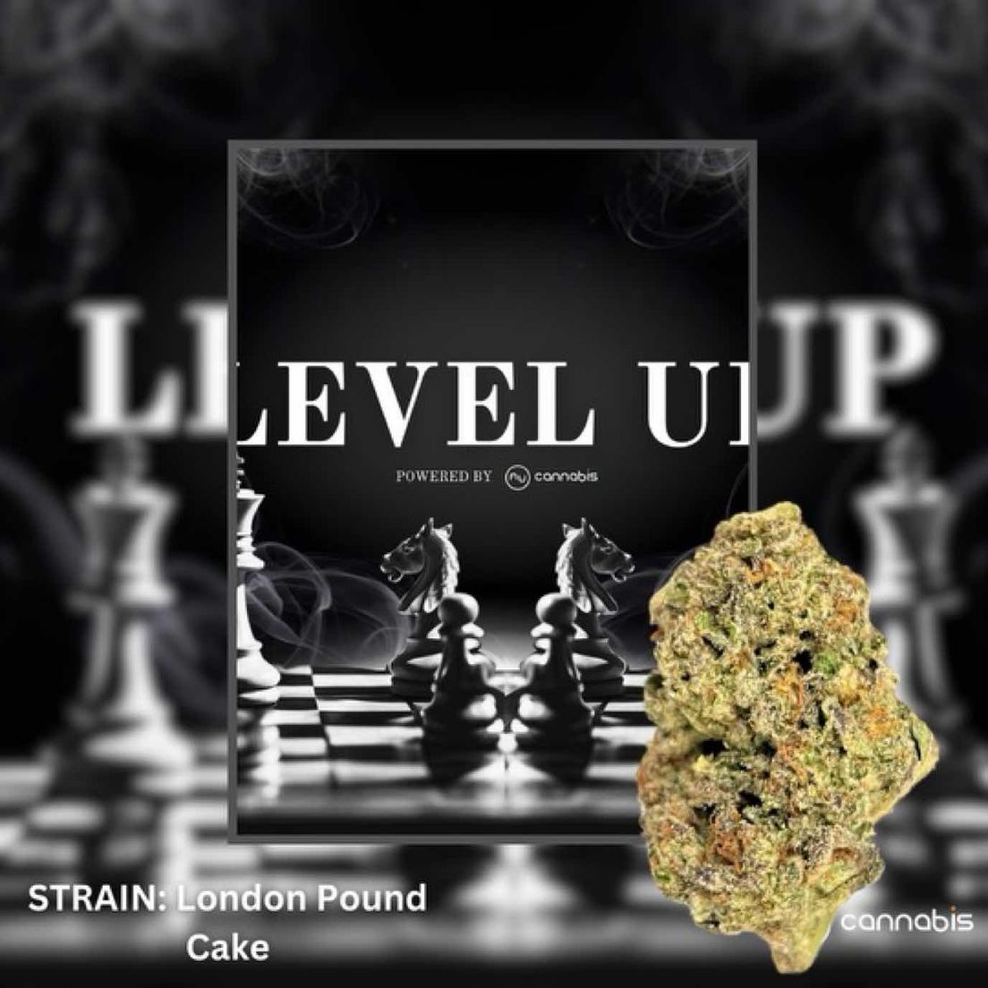Level Up - London Pound Cake 14G - PREMIUM FLOWERS