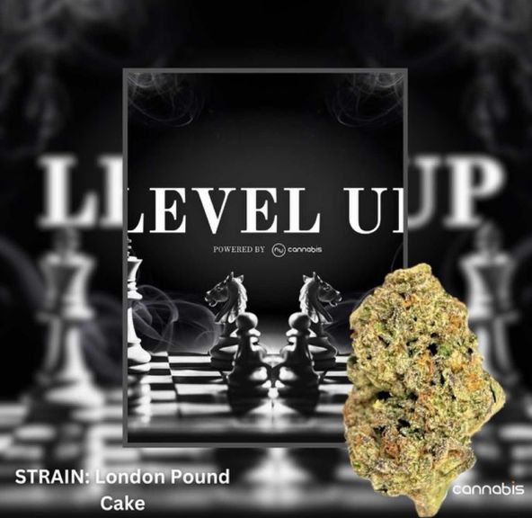 Level Up - London Pound Cake 14G - PREMIUM FLOWERS