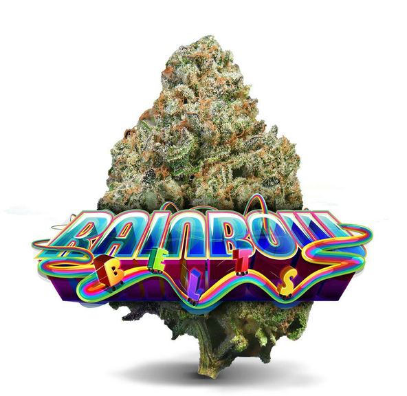 RAINBOW BELTS by Purple Rose THC 30.12% OUNCE