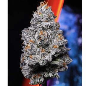 Alien Labs Indoor 3.5g - Kryptochronic 31%