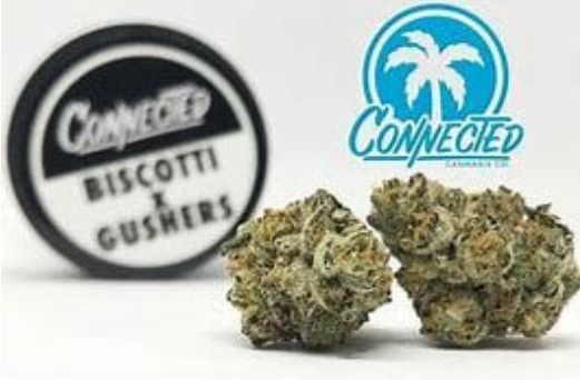 Connected Biscotti X Gushers Indoor 3.5g (unit)