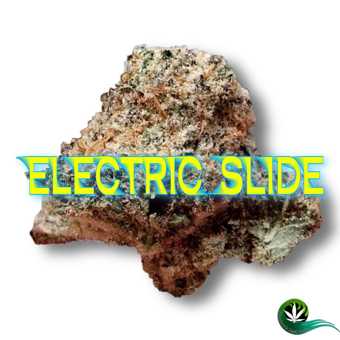Electric Slide