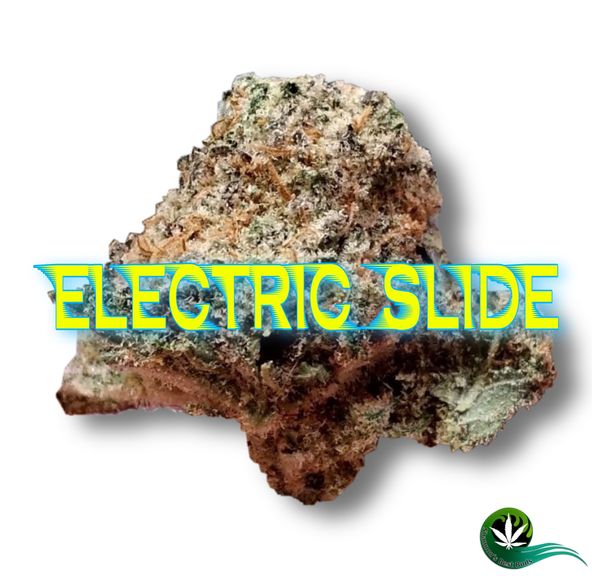 Electric Slide