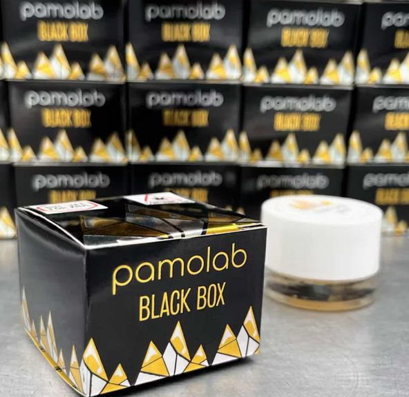 Pamolab LIVE resin Black Box ICE CREAM CAKE
