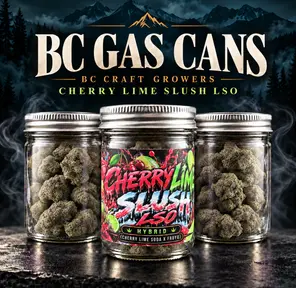 [AAAA+] BC GAS CAN - Cherry Lime Slush LSO⛽️ - 14G