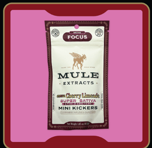 Mule Extracts | Mini Kickers Cherry Limeade | 10 pack: 100mg THC: 50mg CBG: 25mg CBC