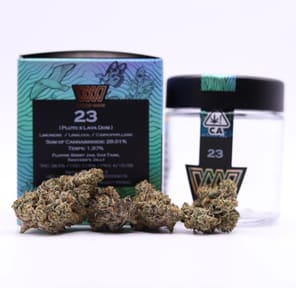 23 3.5G [WW]