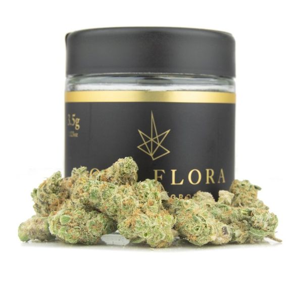 1. Gold Flora 3.5g Flower - Quality 8.5/10 - Mac 1 (~27% THC) *SALE*