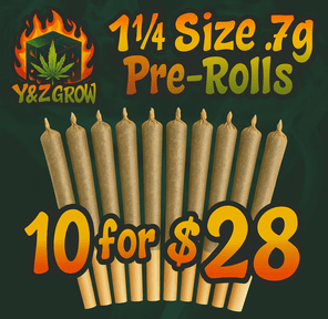 1¼ Size .7g Pre-Roll: Sherbet Cake (Indica) 10 Pack