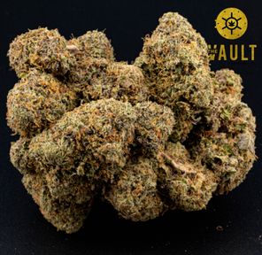 AAAA | MOONSHINE ICC ⭐️NEW ARRIVAL⭐️