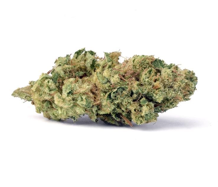 (PRE-ORDER ONLY) Rollins (23.40% THC) FloraCal