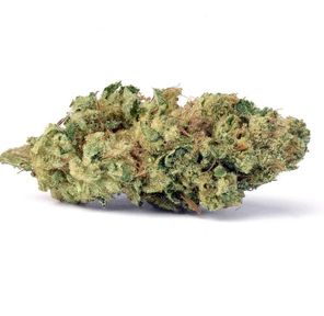 (PRE-ORDER ONLY) Rollins (23.40% THC) FloraCal
