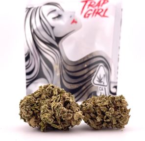 1/8 White Widow (31.37%/Hybrid) - Trap Girl