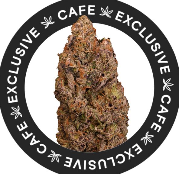 7G CAFE EXCLUSIVES- PINK PHANTOM