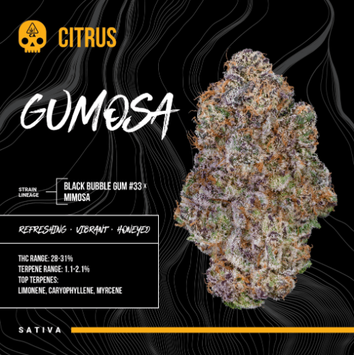 BOSKY GENETICS SMALL- 14G GUMOSA