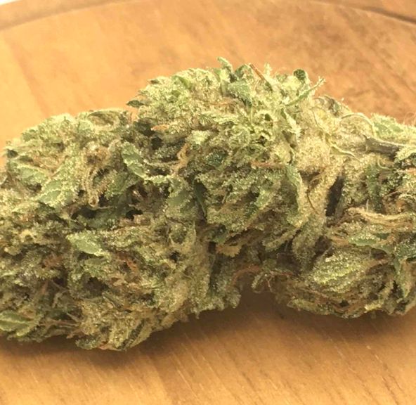 GMO (greenhouse)
