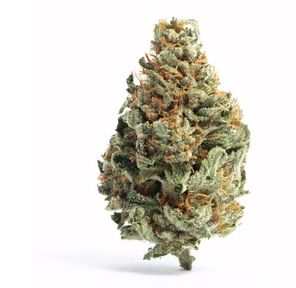 Flower-Dream Machine Bulk