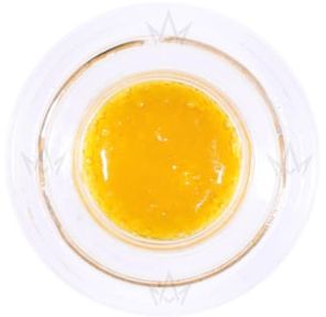 BEAR LABS - 1G BUDDER - GMO X LAVA CAKE