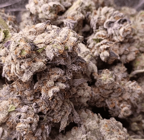 Purple Prince - Hooch, 3.5g