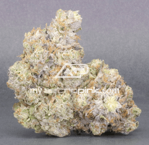 Astropink | Lot #7093 | PINK PARANOIA | *JANUARY 20th DROP*