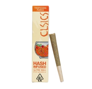 Clsics Tropicana Punch 1g Hash Infused Preroll 35%