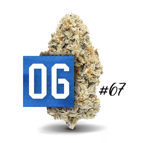 Jungle Boys - 06 OG - 3.5g