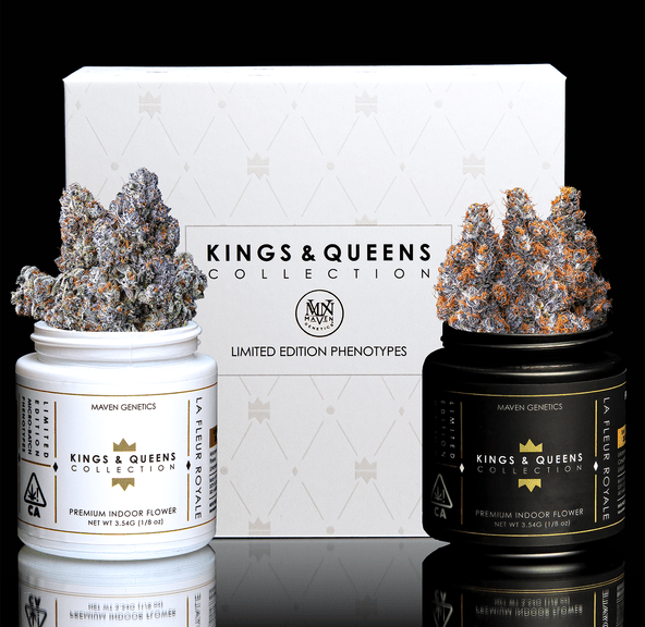 Maven - Kings & Queens Collection - 3.5g - French Lotus #7