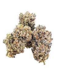 B. Clone Guys 3.5g Flower - 9.5/10 - Gorgon (~26% THC)