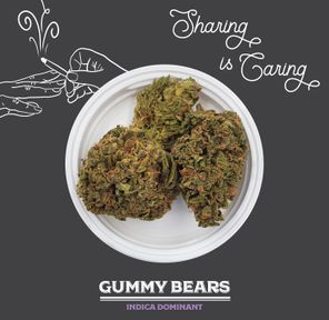 GB201113 | WCTC | PrePacked | Gummy Bears | Basic | 3.5G | 1CT