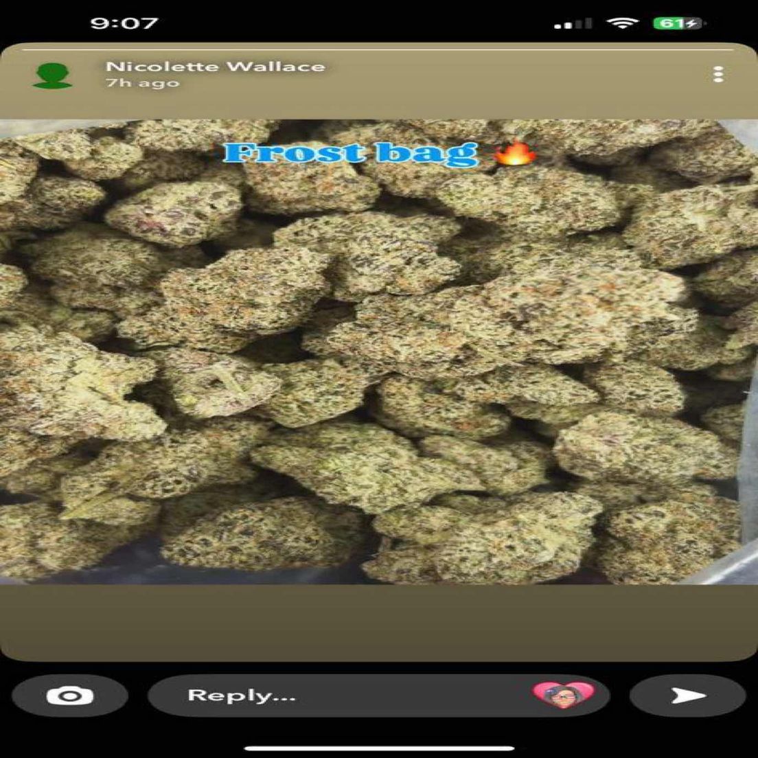 Frost Bag