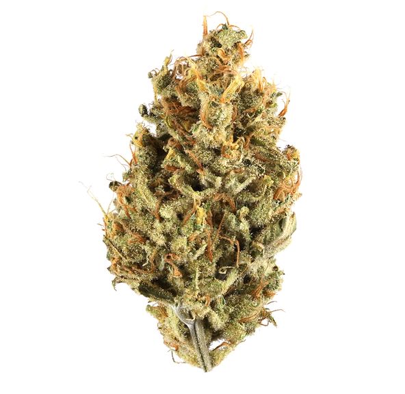 Black Jack Bag 1/4oz _PEAK