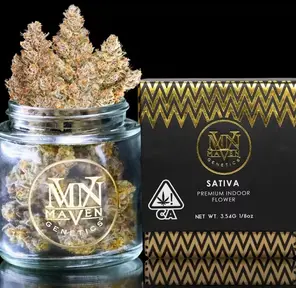 Maven Bluzangria $40