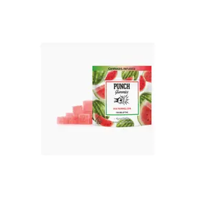 PUNCH EDIBLES & EXTRACTS: Extracts Watermelon
