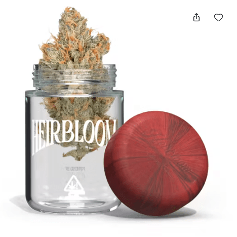 Heirbloom - Orange Crush - 3.5g - Sativa