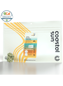Coastal Sun - Tahoe Brunch 28g