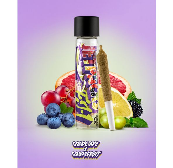 Grape Ape x Grapefruit (1G Infused, THCA Concentrate & Kief Covered)