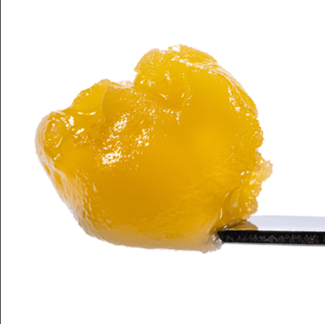 Forbidden Haze Live Resin Badder
